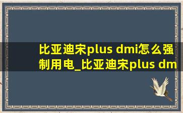 比亚迪宋plus dmi怎么强制用电_比亚迪宋plus dmi怎么强制保电